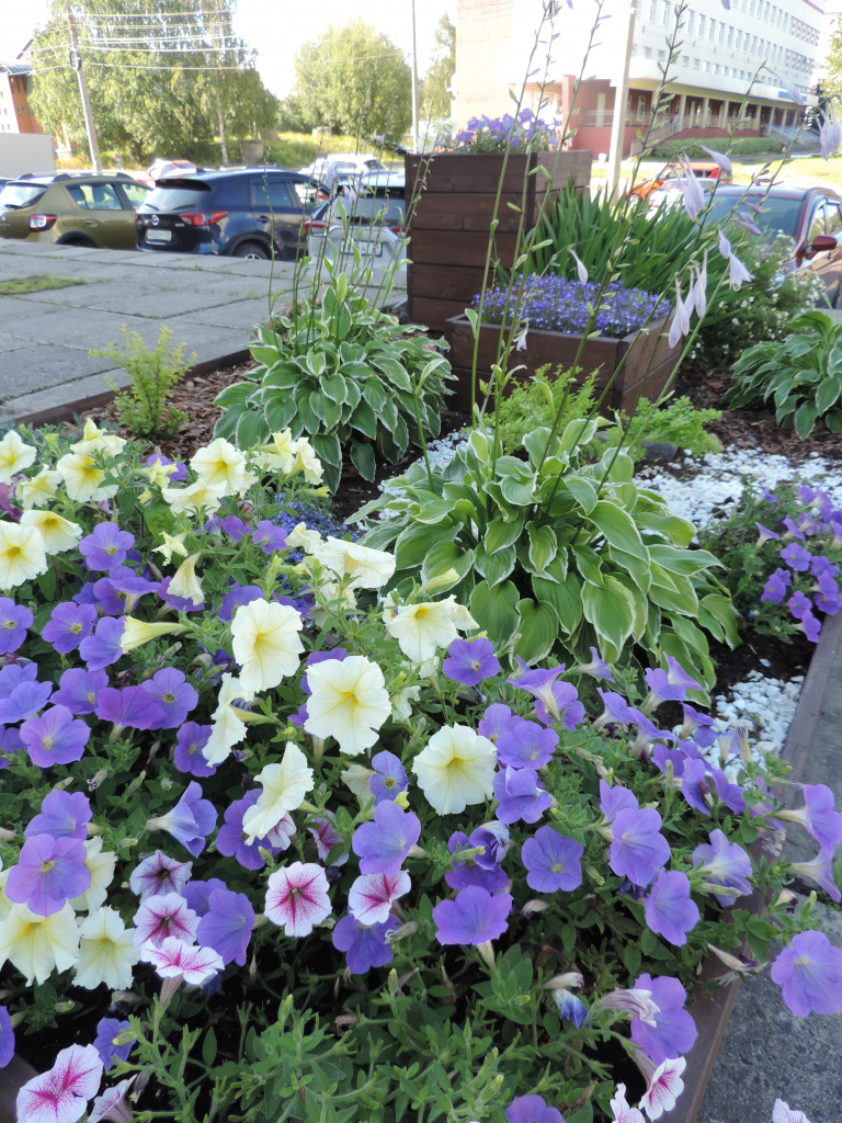 DSCN9935.JPG